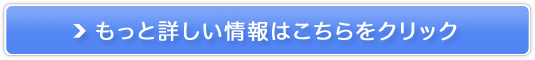 nỹv~A\T[rX̔TCg